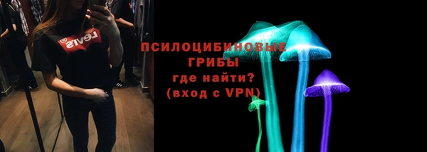 шишки Богородск