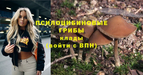 таблы Белокуриха