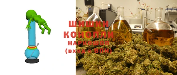 индика Белоозёрский
