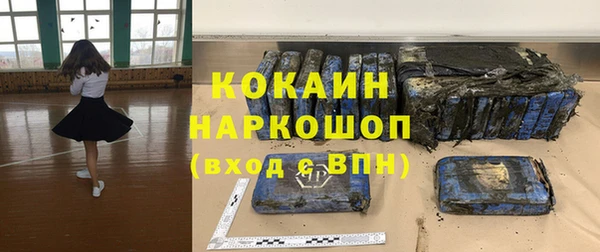 шишки Богородск
