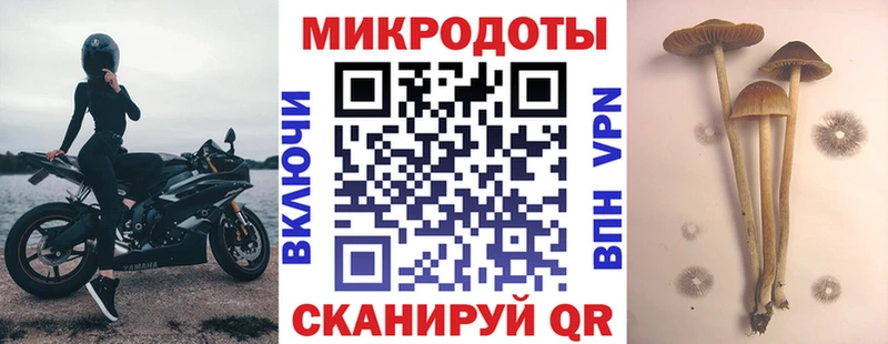 Галлюциногенные грибы MAGIC MUSHROOMS Горно-Алтайск