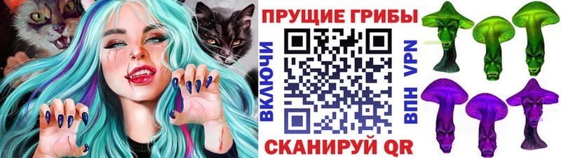 Псилоцибиновые грибы Psilocybe  Горно-Алтайск 